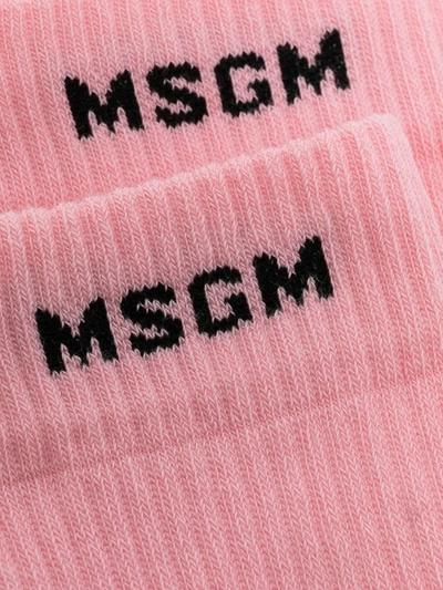 Shop Msgm Knitted Logo Socks In Pink