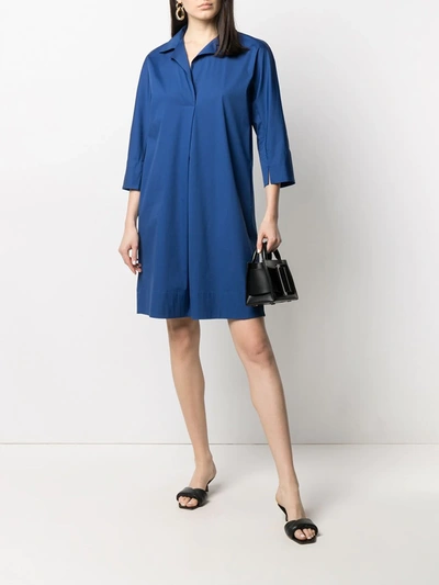 Shop Antonelli Shift Shirt Dress In Blue