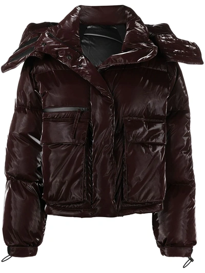 Shop Helmut Lang Hooded Padded Jacket In Red