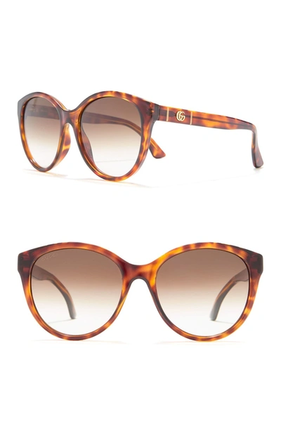 Shop Gucci 56mm Cat Eye Sunglasses In Havana