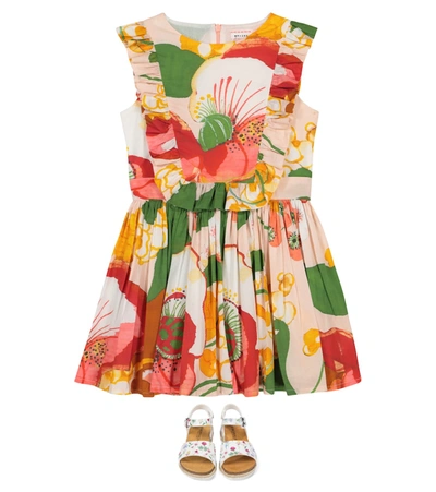 Shop Morley Flamenco Floral Dress In Multicoloured