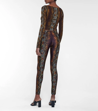 Shop Versace Snake-print Leggings In Brown