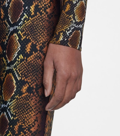Shop Versace Snake-print Leggings In Brown