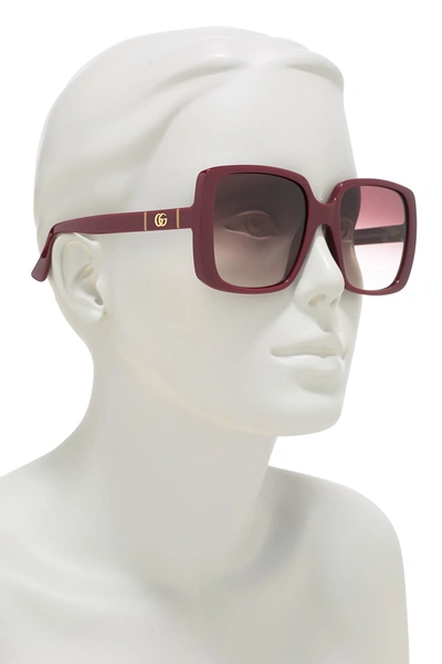 Shop Gucci 56mm Square Sunglasses In Burgundy