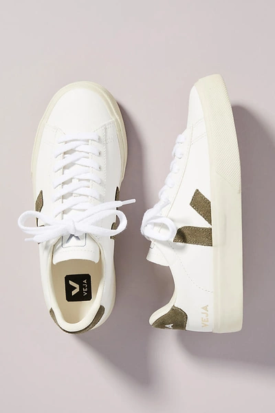 Shop Veja Campo Leather Sneakers In Beige