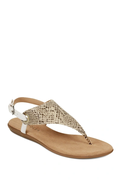 Shop Aerosoles In Conchlusion Casual Sandal In Tan Snake