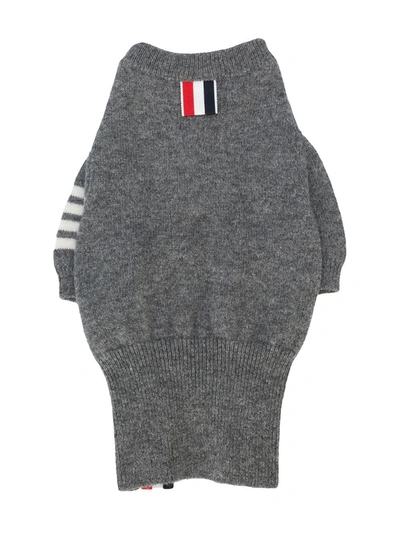 Shop Thom Browne Hector Browne Canine Jumper In Grey