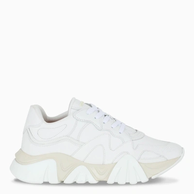 Shop Versace Sneaker Low Squalo In White