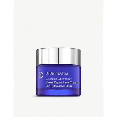 Shop Dr Dennis Gross Skincare B3adaptive Superfoods™ Stress Repair Face Cream 60ml