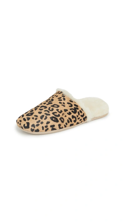 Shop Freda Salvador James Slippers In Camel Cheetah