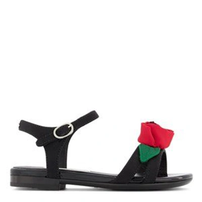 Shop Dolce & Gabbana Black Rose Sandals