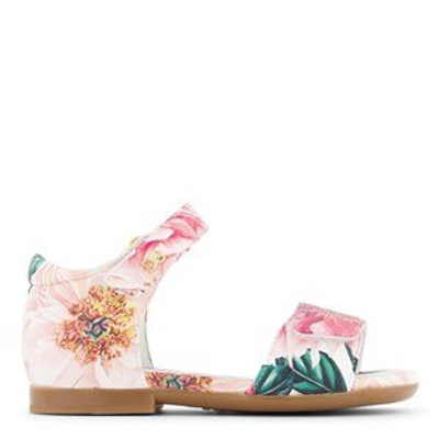 Shop Dolce & Gabbana Pink Camelia Sandals