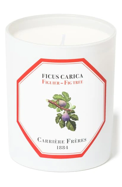 Shop Carriere Freres Cedar Candle In Fig Tree