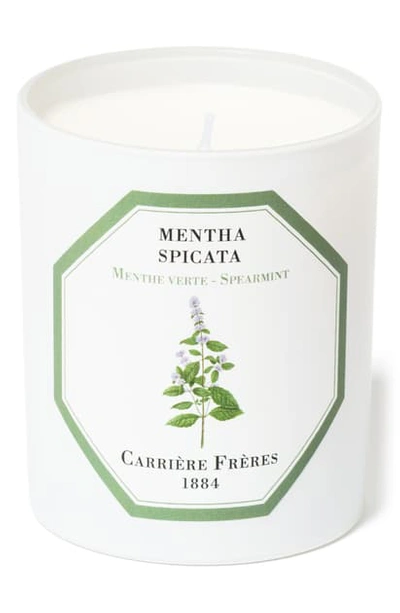 Shop Carriere Freres Cedar Candle In Spearmint