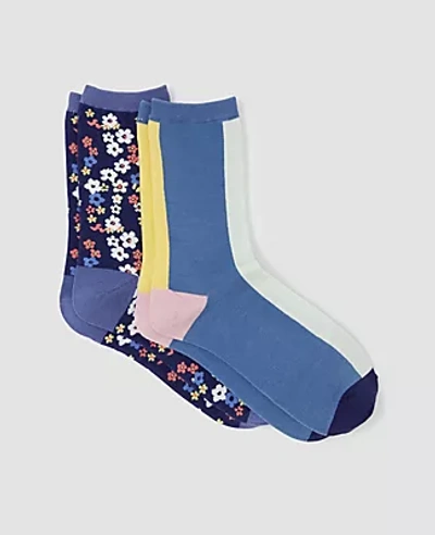 Shop Ann Taylor Floral Colorblock Trouser Sock Set In Night Sky
