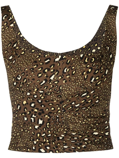 Shop Versace Leopard Print Cropped Top In Brown