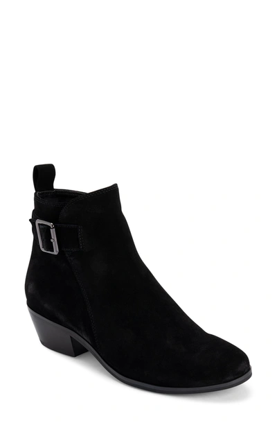 Shop Blondo Saddie Waterproof Bootie In Black Suede