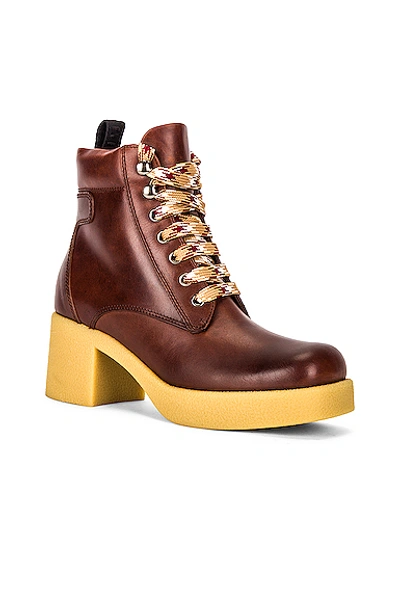 Miu Miu Platform Lace Up Ankle Boots In Cognac
