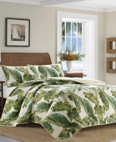 Shop Tommy Bahama Fiesta Palms Cotton Reversible 3 Piece Quilt Set, Full/queen In Palm Green