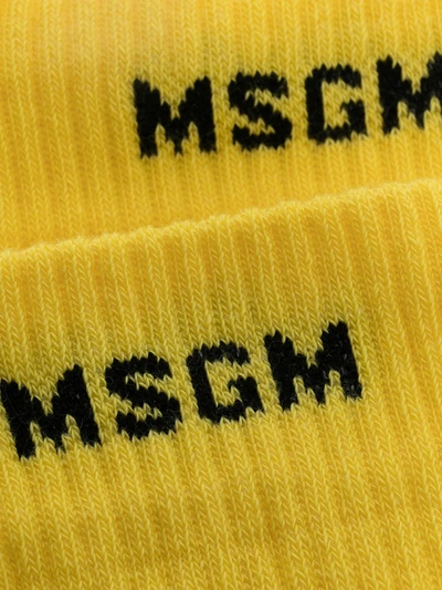 Shop Msgm Knitted Logo Socks In Yellow
