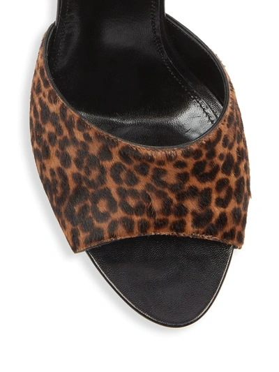Shop Saint Laurent Sexy Leopard-print Calf Hair & Leather Mules In Manto Naturale