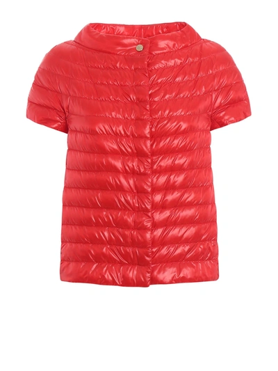 Shop Herno Margherita Red Nylon Puffer Jacket