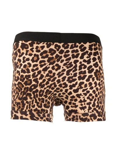Shop Tom Ford Leopard-print Boxer Briefs In Brown