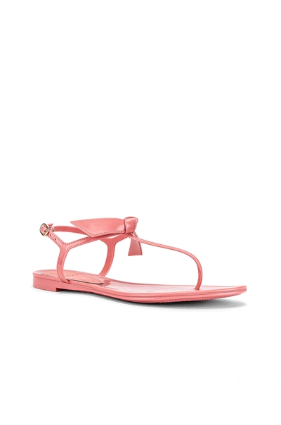 Shop Alexandre Birman Clarita Jelly Sandal In Rose