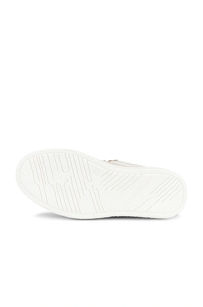 Shop See By Chloé Sevy Sneaker In White