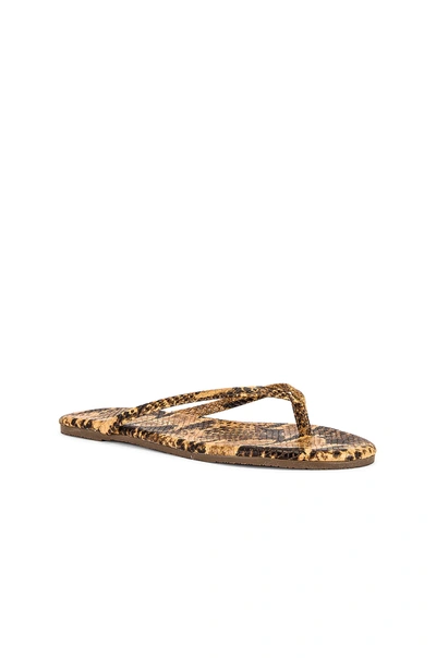 Shop Tkees Studio Exotic Sandal In Coco Snake