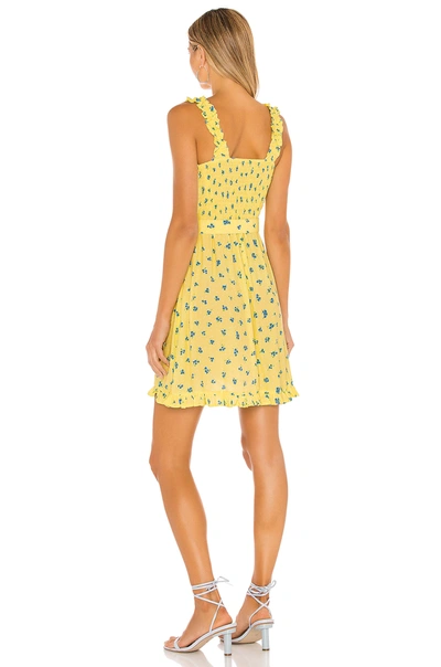 Shop Faithfull The Brand Mid Summer Mini Dress In Lemon Luda Floral