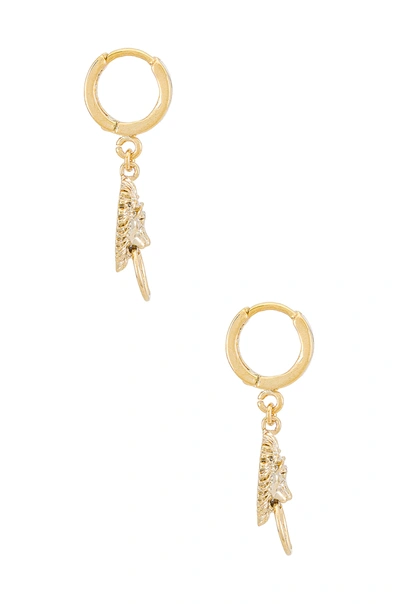 Shop Natalie B Jewelry Roary Huggy Hoop Earring In Gold