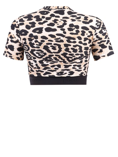 Shop Rabanne Paco  Leopard Printed Cropped Top In Multi