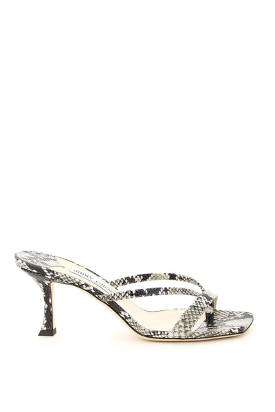 Shop Jimmy Choo Maelie 70 Embossed Thong Mules In Multi