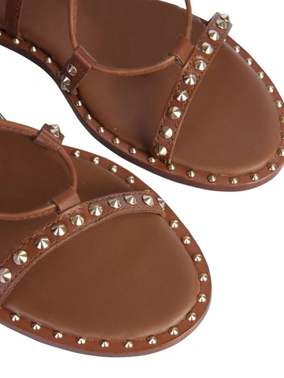 Shop Ash Princess Sandals In Brown