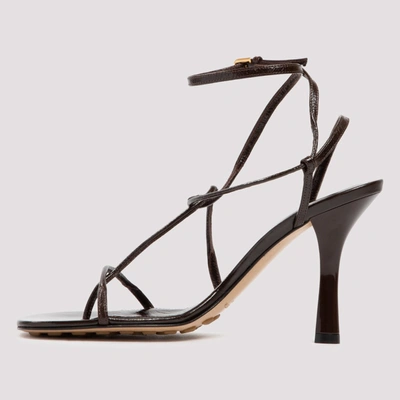 Shop Bottega Veneta Bv Line Sandals In Brown