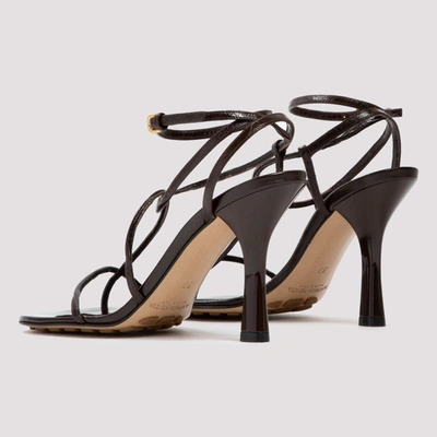 Shop Bottega Veneta Bv Line Sandals In Brown