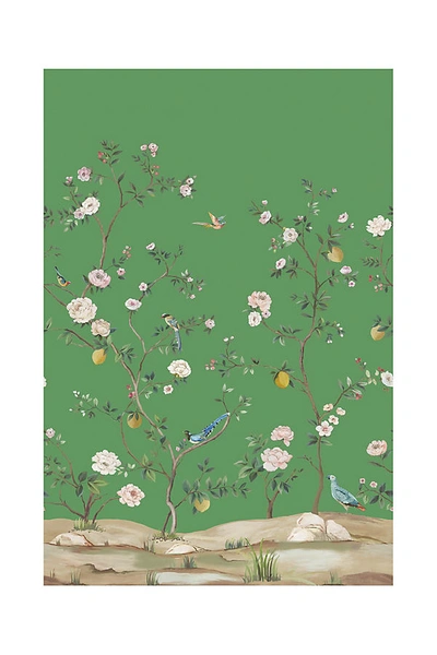 Shop Anthropologie Blossom Chinoiserie Mural In Green