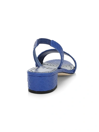 Shop Manolo Blahnik Patopia Snakeskin Slingback Sandals In Blue