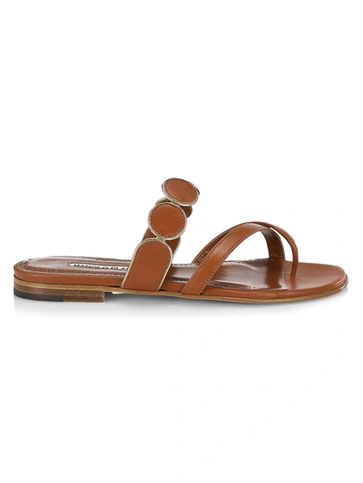 Shop Manolo Blahnik Harisa Leather Thong Sandals In Luggage And Gold