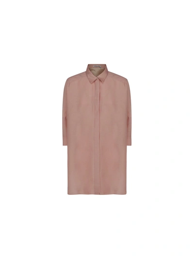 Shop Agnona Shirt In Pale Pink