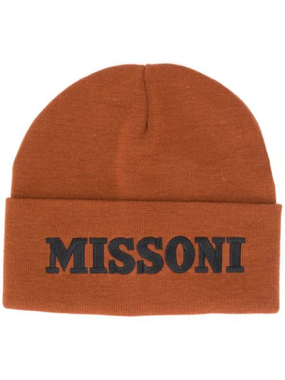 Shop Missoni Logo Embroidered Beanie In Brown