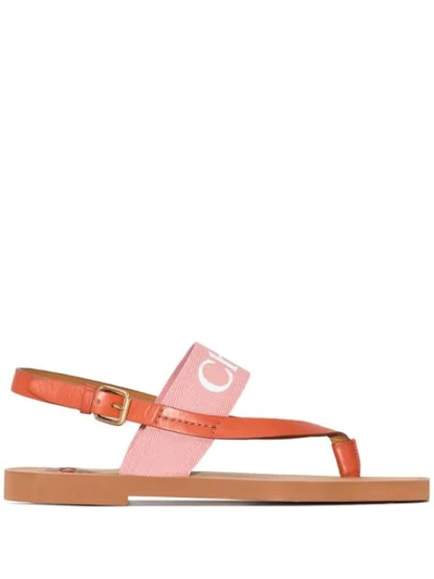 Shop Chloé Logo-print Leather Sandals In Brown