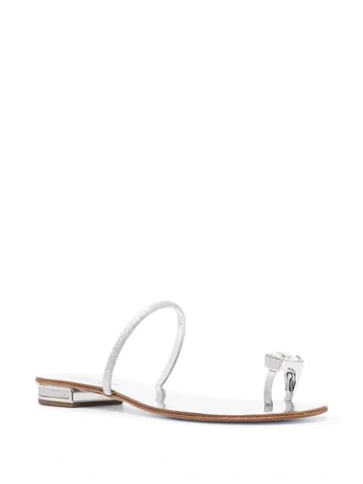 Shop Casadei Crystal Toe Strap Sandals In Grey