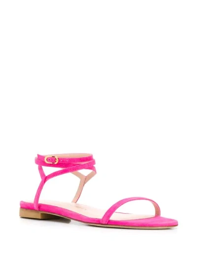 Shop Stuart Weitzman Merinda Flat Sandals In Pink