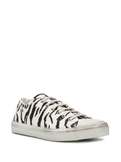 Shop Saint Laurent Bedford Zebra Print Sneakers In White
