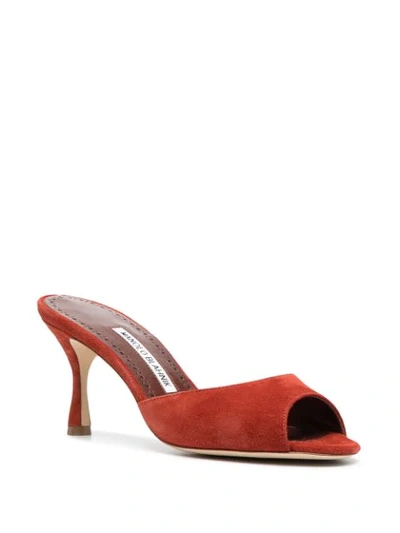 Shop Manolo Blahnik Sue Mid-heel Mules In Orange