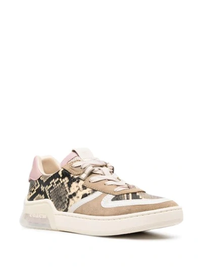 Shop Coach Citysole Court Low Top Trainers In Neutrals