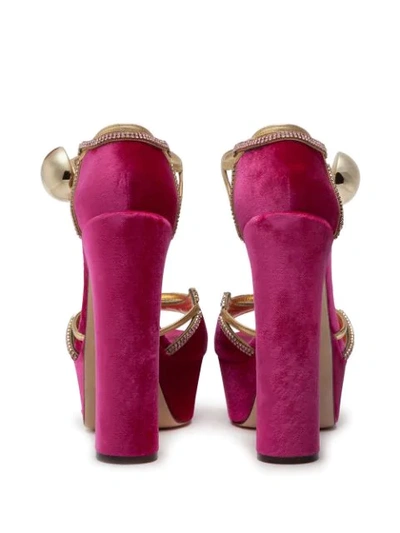 Shop Dolce & Gabbana Platform High-heel Sandals In Pink