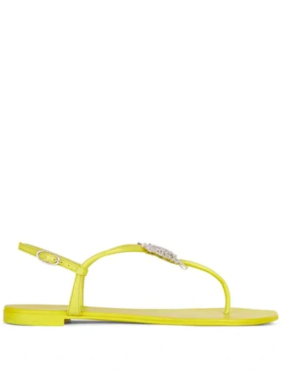 Shop Giuseppe Zanotti Farifu Crystal-embellished Sandals In Yellow
